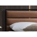  Modern Style Platform Bed 
